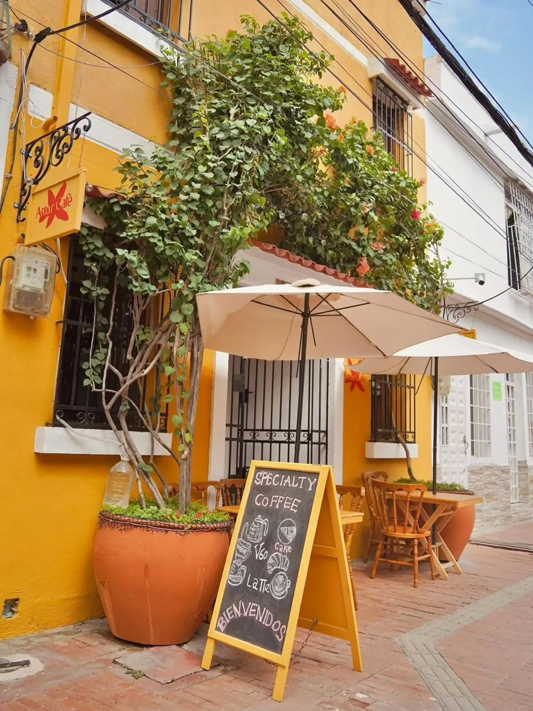 Café Amar en Santa Marta